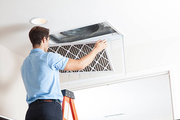 Best Affordable HVAC Services  in Wenona, IL
